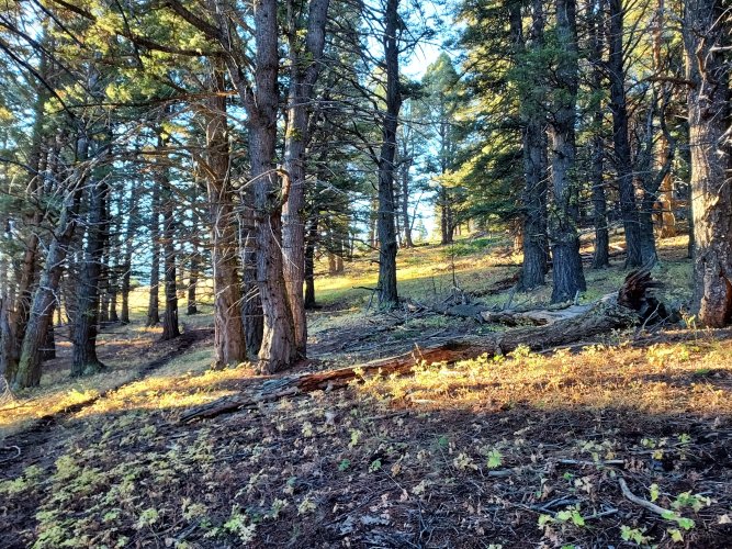 20220925_080312.jpg