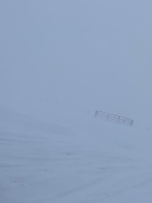 17B7DB99-2815-4396-BD6C-424C29169BC9.jpeg 17B7DB99-2815-4396-BD6C-424C29169BC9.jpeg