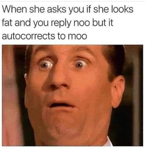1671077810492.png