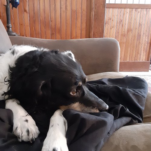 20220411_142800.jpg 20220411_142800.jpg