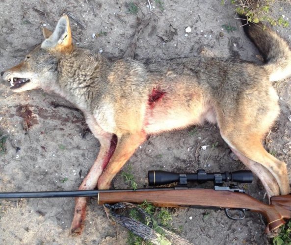 F2BA0B13-49BF-4C6A-996E-49E422D1ADB6.jpeg F2BA0B13-49BF-4C6A-996E-49E422D1ADB6.jpeg