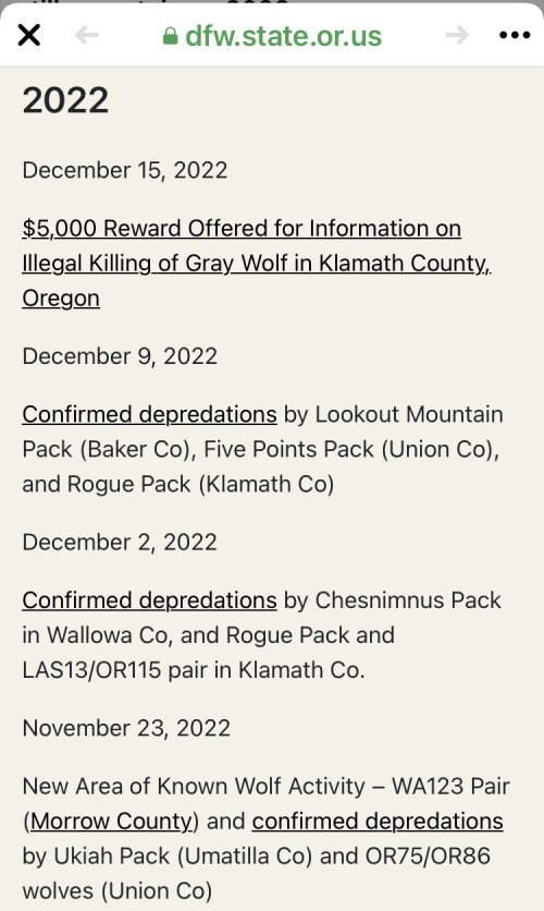 C86CCBE4-47FA-4612-8200-F27DD9942322.jpeg C86CCBE4-47FA-4612-8200-F27DD9942322.jpeg