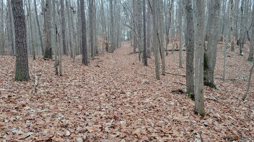 20221210_073008.jpg 20221210_073008.jpg