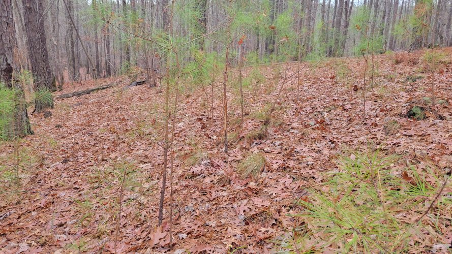 20221210_084010.jpg 20221210_084010.jpg