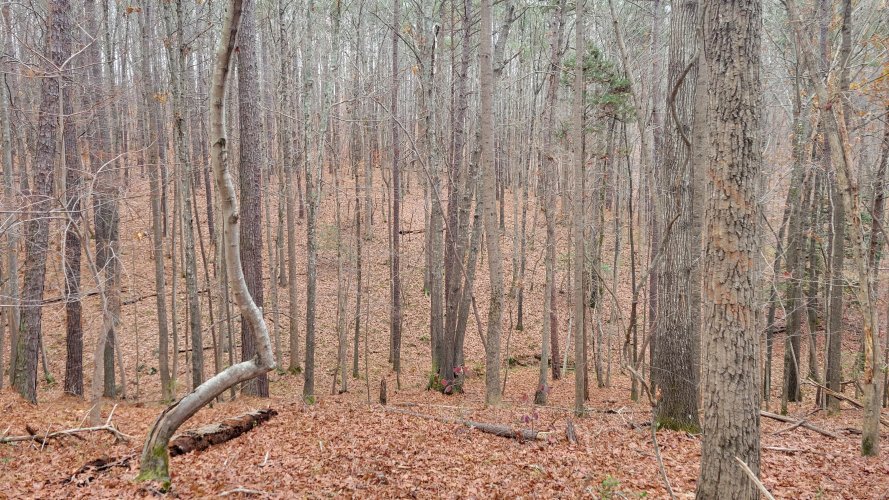 20221210_084030.jpg 20221210_084030.jpg