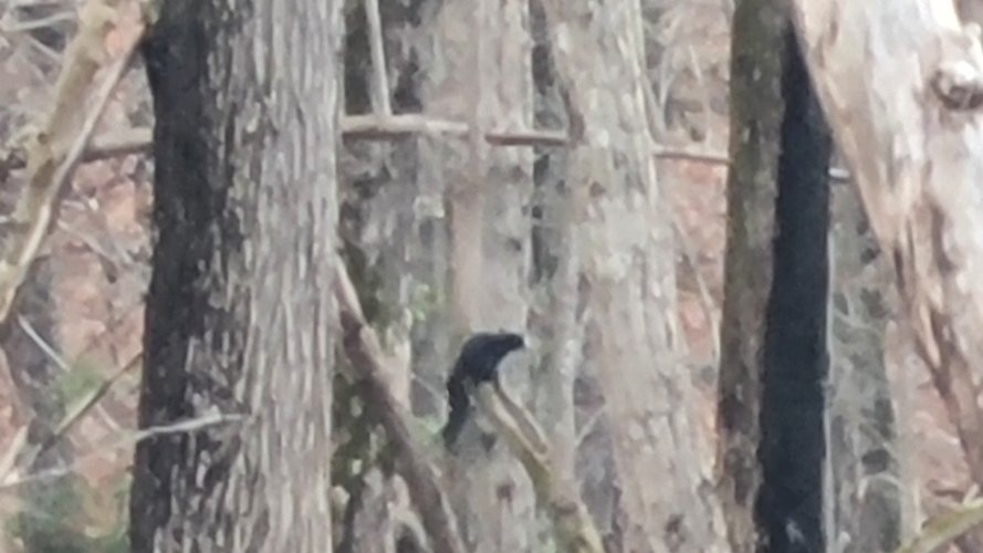 20221217_084626.jpg 20221217_084626.jpg