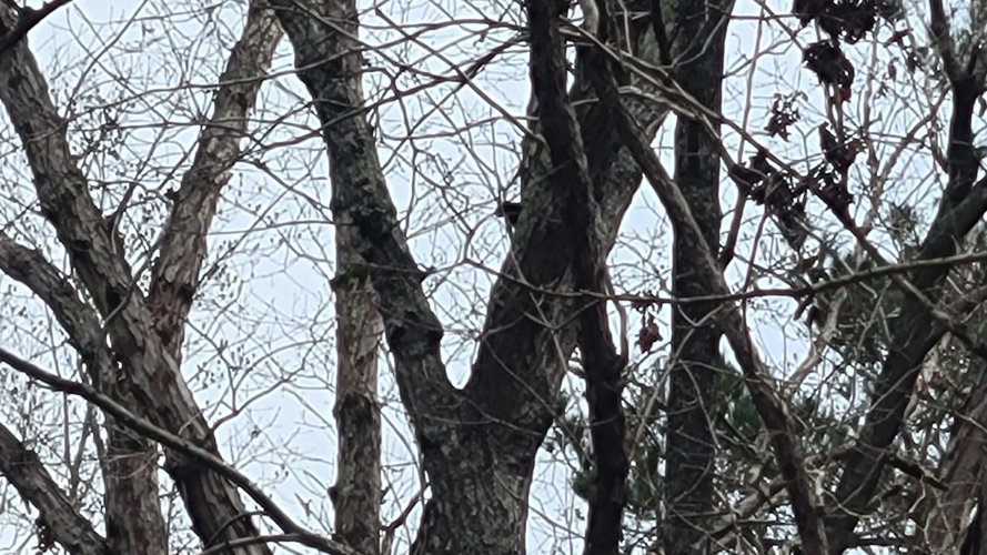 20221217_085041.jpg 20221217_085041.jpg
