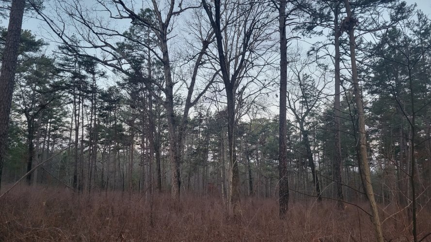 20221217_071847.jpg 20221217_071847.jpg