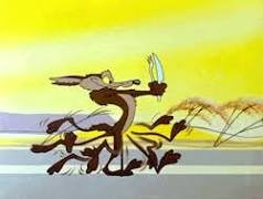 Image result for wile e coyote gif