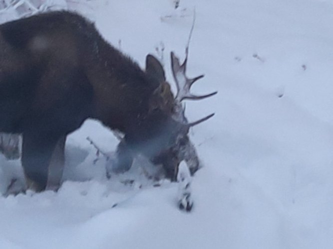 20221208_095803.jpg