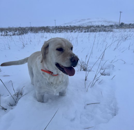 3E0A30C7-024D-440D-BC44-D4A5ECD1A930.jpeg 3E0A30C7-024D-440D-BC44-D4A5ECD1A930.jpeg