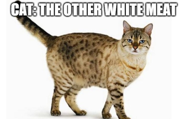 Screenshot_20221222_144717.jpg Screenshot_20221222_144717.jpg