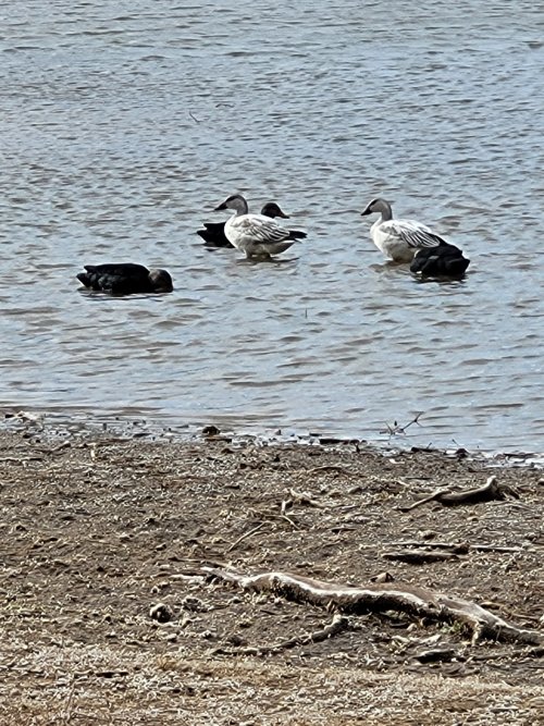 Resized_20221228_140227.jpeg Resized_20221228_140227.jpeg