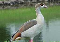 1672266274855.png 1672266274855.png