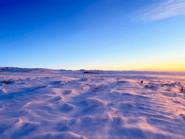 2.6.gif 2.6.gif