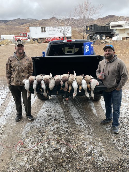 9C455146-A53A-4678-8E1D-E07AFE7A7245.jpeg 9C455146-A53A-4678-8E1D-E07AFE7A7245.jpeg