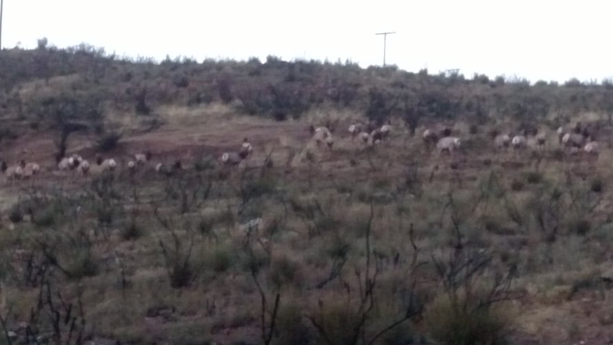 IMG_20221227_170344447.jpg IMG_20221227_170344447.jpg