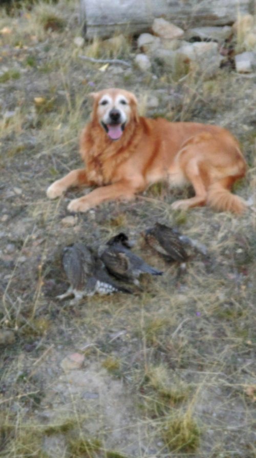 20190515_201948.jpg 20190515_201948.jpg
