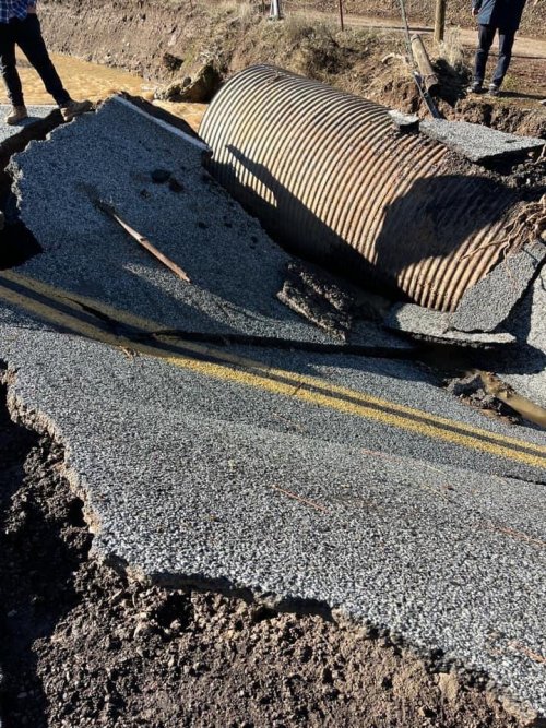 IMG_4099.jpg IMG_4099.jpg