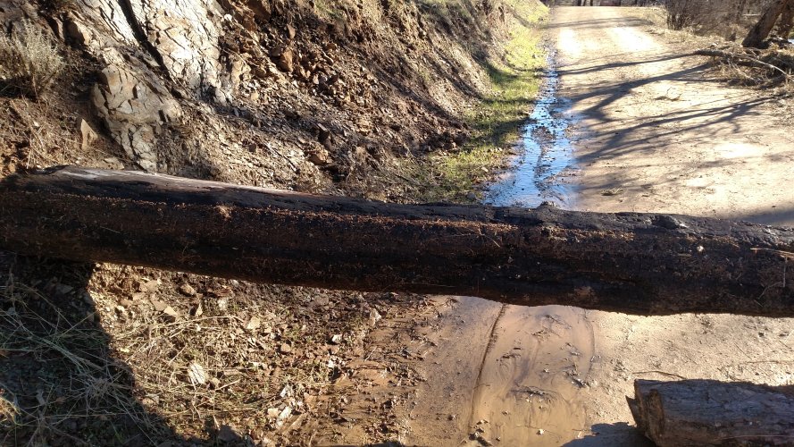 IMG_20230101_132913200.jpg IMG_20230101_132913200.jpg