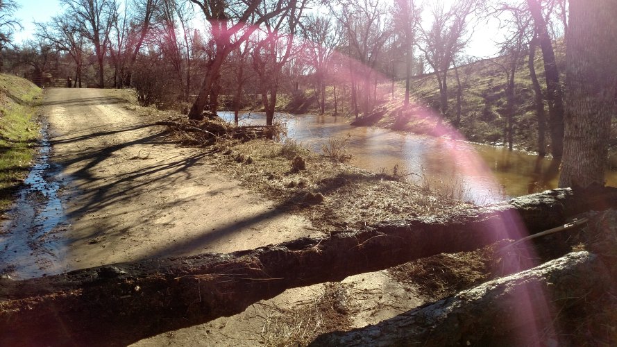 IMG_20230101_132916292.jpg IMG_20230101_132916292.jpg