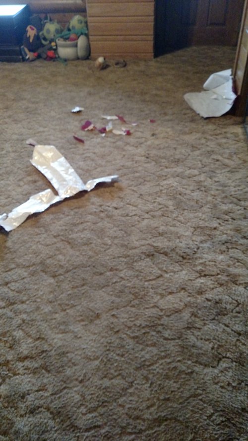 IMG_20230102_144741123.jpg IMG_20230102_144741123.jpg