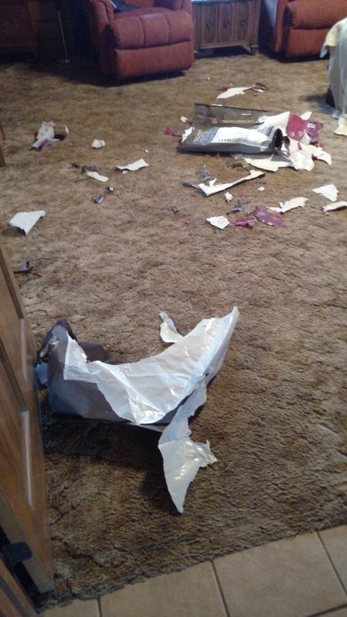 IMG_20230102_144732939.jpg IMG_20230102_144732939.jpg