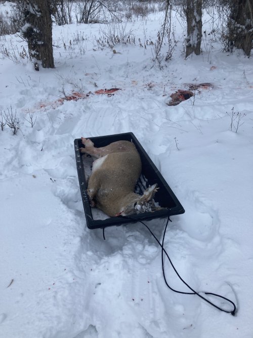 23C31BB2-18D4-4D14-B674-C4A0A90EC24F.jpeg 23C31BB2-18D4-4D14-B674-C4A0A90EC24F.jpeg