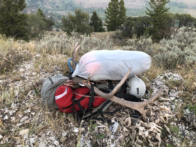 Elk Pack.jpeg Elk Pack.jpeg