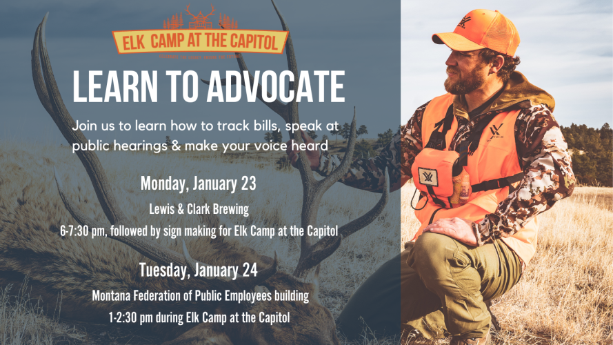 Twitter advocacy training.png Twitter advocacy training.png