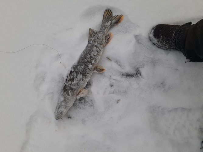 20230108_101500.jpg 20230108_101500.jpg