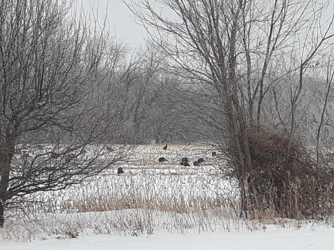 20230108_131442.jpg 20230108_131442.jpg