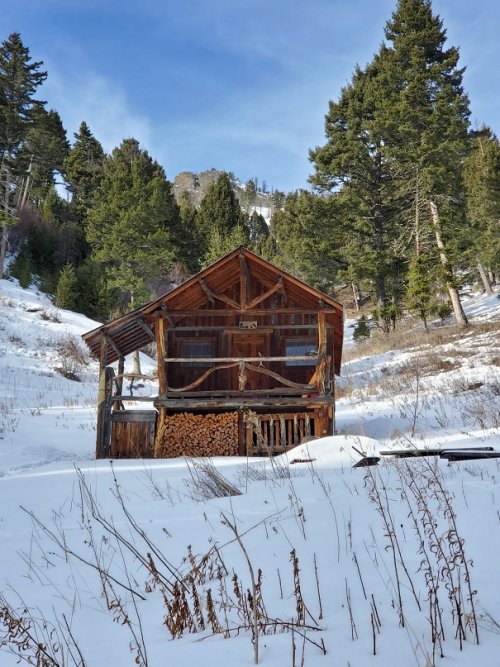 Ridge Rock Cabin Jan 2023.jpg