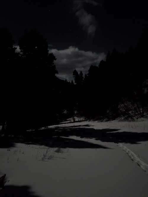 Moon Snow trail.jpg
