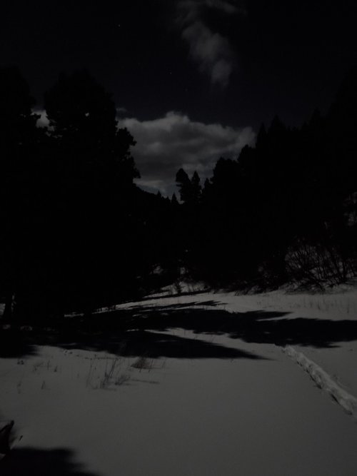 Moon Snow trail.jpg Moon Snow trail.jpg