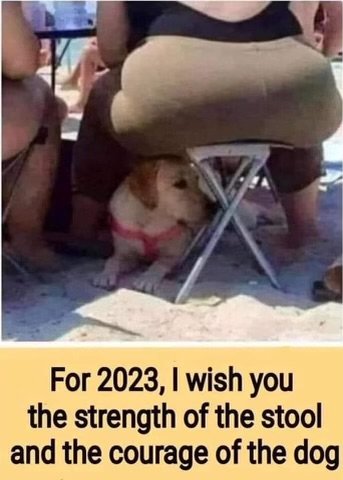 1673364845355.jpeg 1673364845355.jpeg