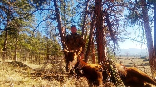 2013 archery elk.jpg