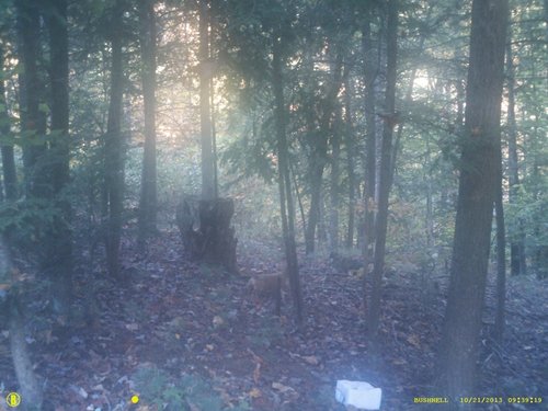 trailcampic2-800.jpg