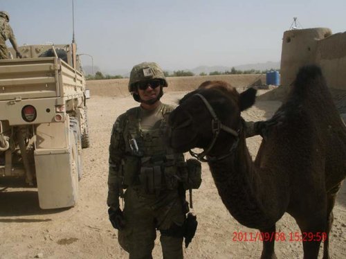 Camel.jpg