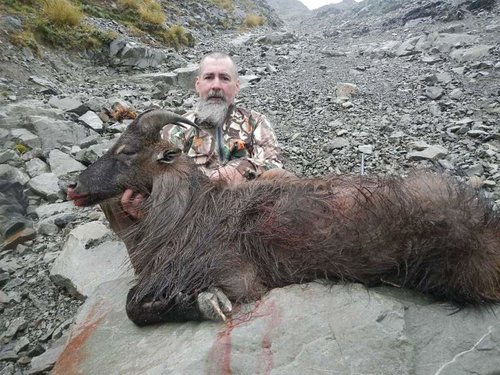 tahr hunt 003.jpg