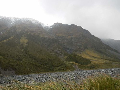 tahr hunt 027.jpg