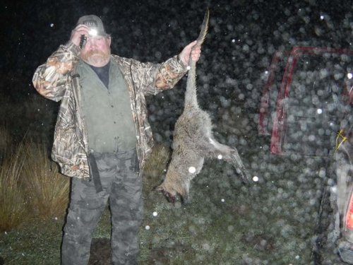 tahr hunt 051.jpg