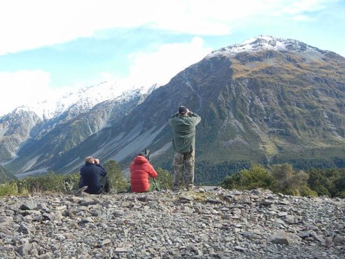 tahr hunt 020.jpg