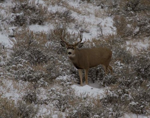 wyoming 2013-2.jpg