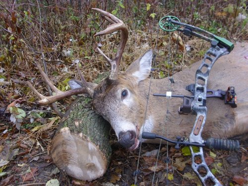 DSCI0108 (800x600).jpg