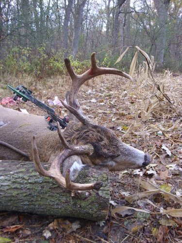 DSCI0122 (600x800).jpg