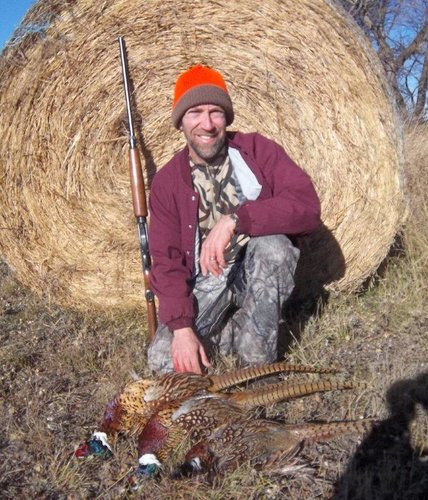 Pheasant 2013 e-mail.jpg