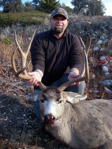 IMGP0063.JPG IMGP0063.JPG