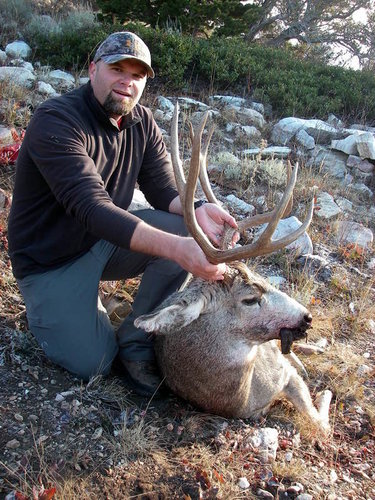 IMGP0065.JPG IMGP0065.JPG