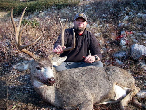 IMGP0068.JPG IMGP0068.JPG